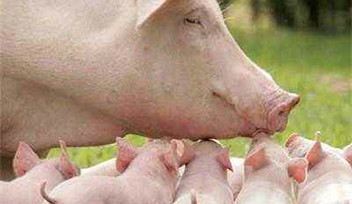 【重要提示】天涼好個秋，當(dāng)心“附”和“弓”